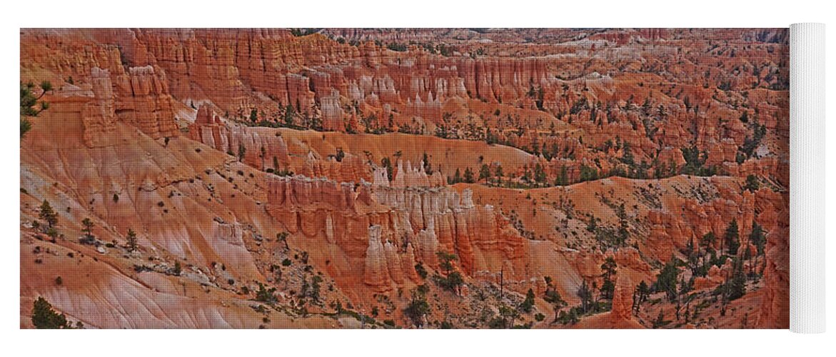 Bryce Canyon National Park Yoga Mat featuring the photograph Bryce Canyon National Park - Shades of Orange and Pink by Yvonne Jasinski
