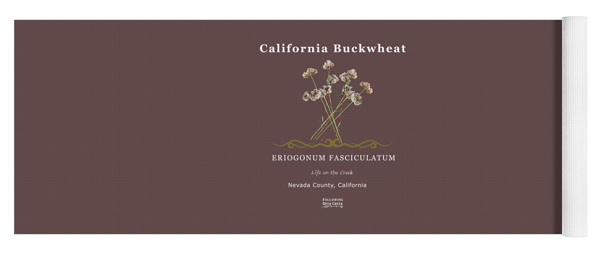 California Buckwheat Yoga Mat featuring the digital art Buckwheat by Lisa Redfern