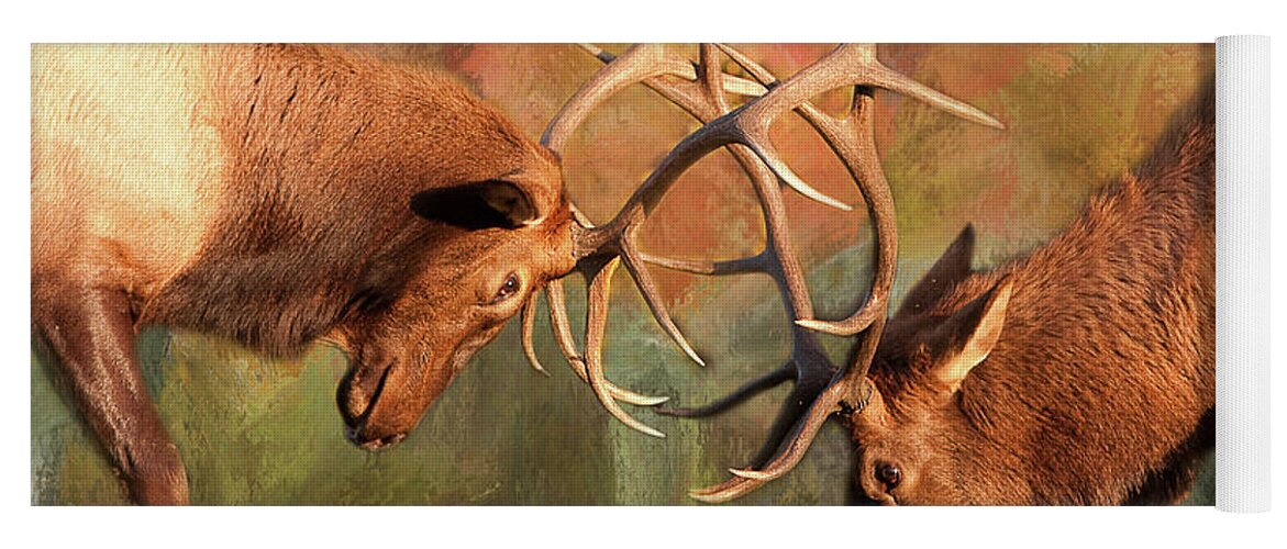'estes Park' Yoga Mat featuring the photograph Bull Elk Sparring In The Mix by James BO Insogna