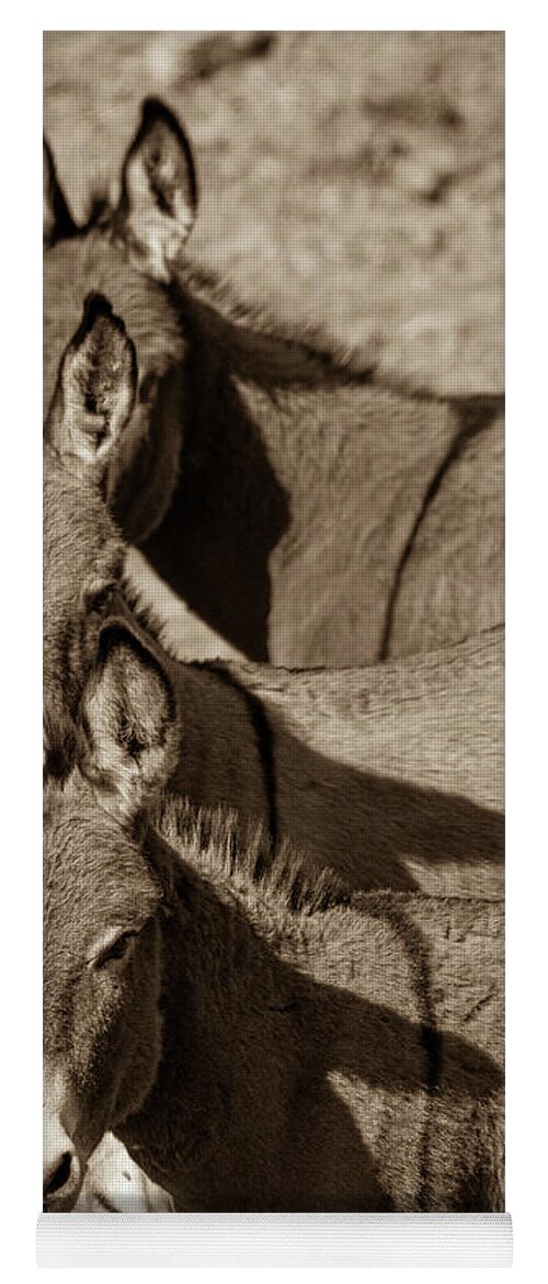 Burros Yoga Mat featuring the photograph Burro Stacks by Mary Hone