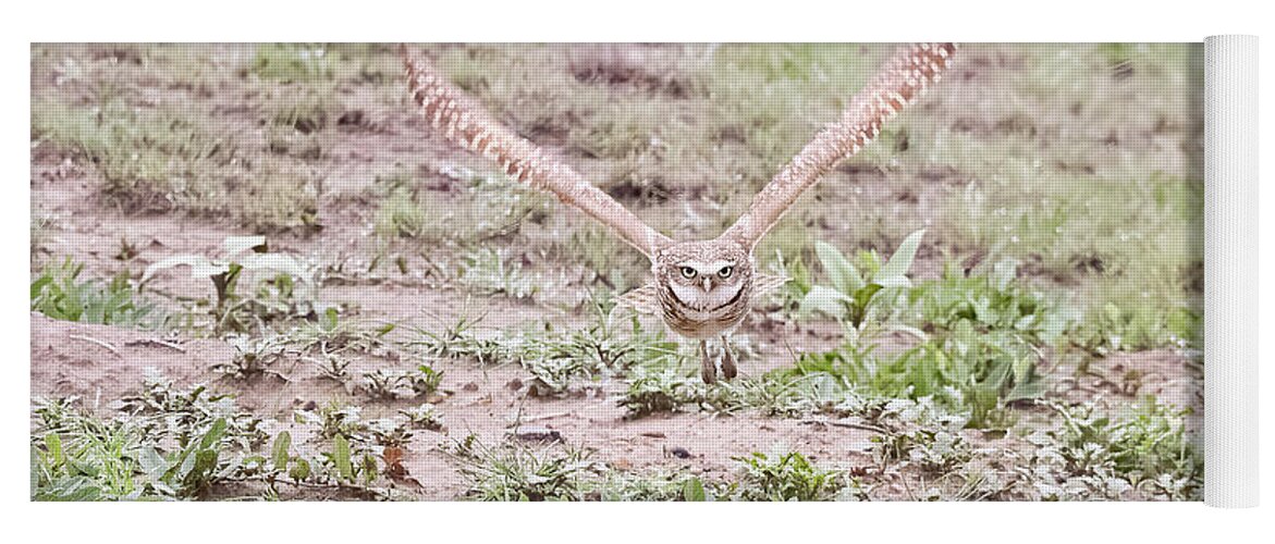 Owl Yoga Mat featuring the photograph Burrowing Owl Flies Head On by Tony Hake