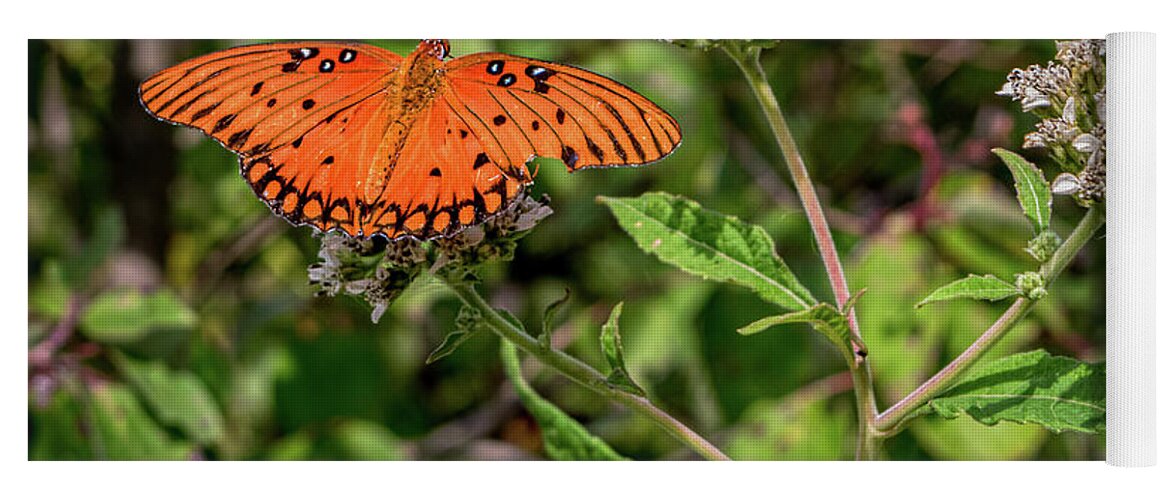 Orange Yoga Mat featuring the photograph Butterfly at Rest by Kenneth Everett
