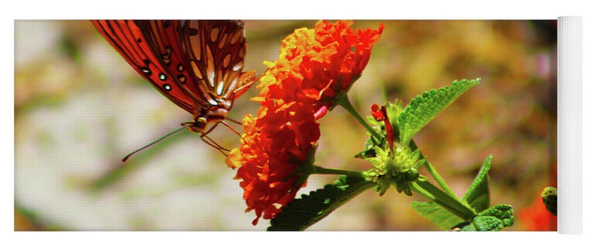 Butterflies Yoga Mat featuring the photograph Butterfly Carnation by Marcus Jones