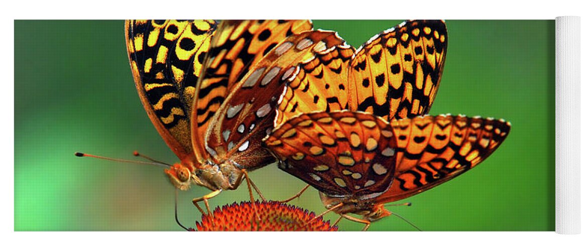 Butterfly Yoga Mat featuring the photograph Butterfly Twins by Christina Rollo