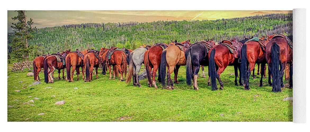 Horses Yoga Mat featuring the photograph Butts by DB Hayes