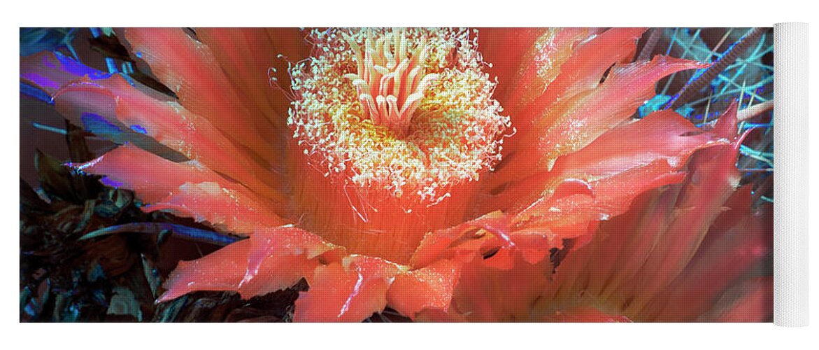 Flower Yoga Mat featuring the photograph Cactus Flower Infrared by Martin Konopacki