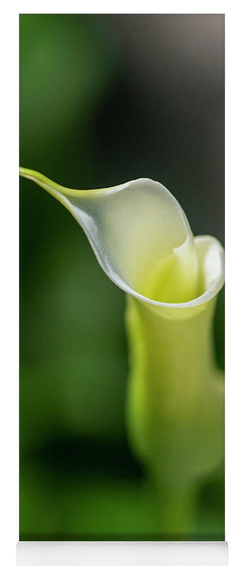 Calla Lily Yoga Mat featuring the photograph Calla Lily 2 by Kathy Paynter