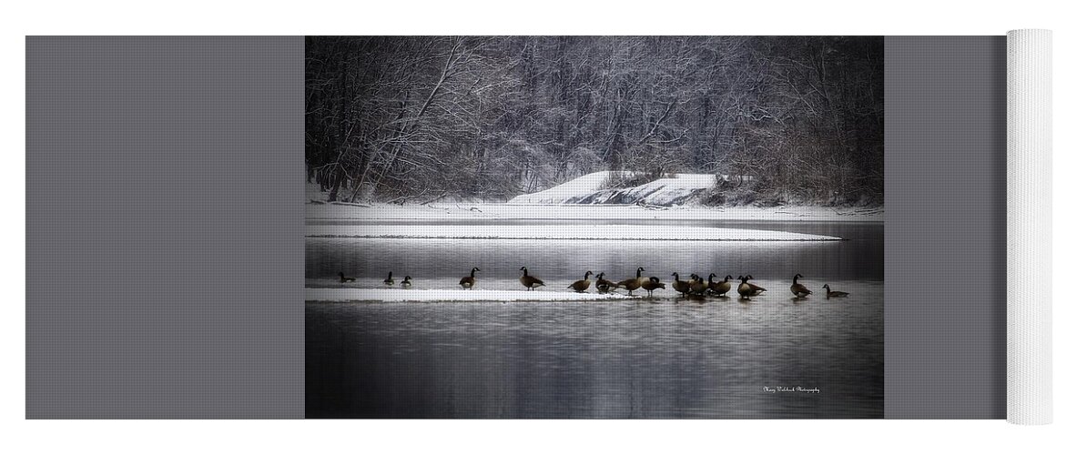 Waterfowl Yoga Mat featuring the photograph Canadian Geese Gathering by Mary Walchuck