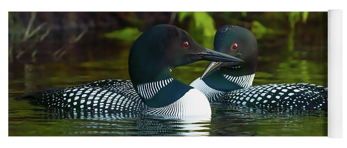 Loons Yoga Mat featuring the photograph Canadian Loons 12 by Ron Long Ltd Photography