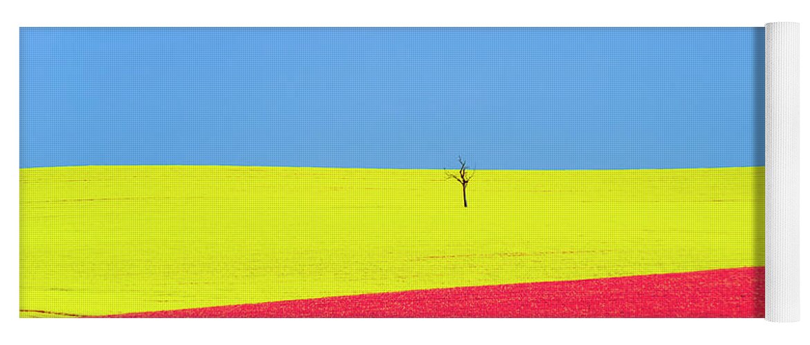 Landscape Yoga Mat featuring the photograph Canola Fields by Ari Rex