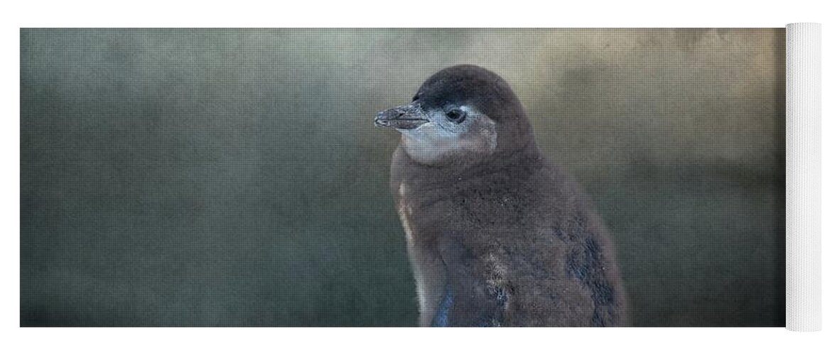 African Penguin Yoga Mat featuring the photograph Cape Penguin Chick by Eva Lechner