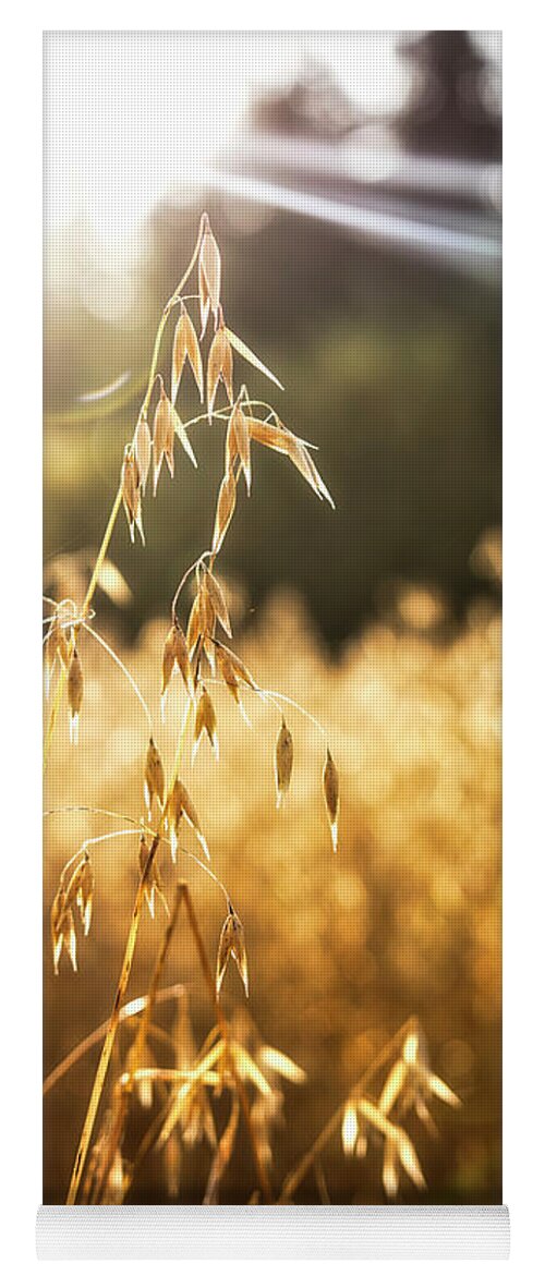 Agriculture Yoga Mat featuring the photograph Caressed by the autumn sun by Maria Dimitrova