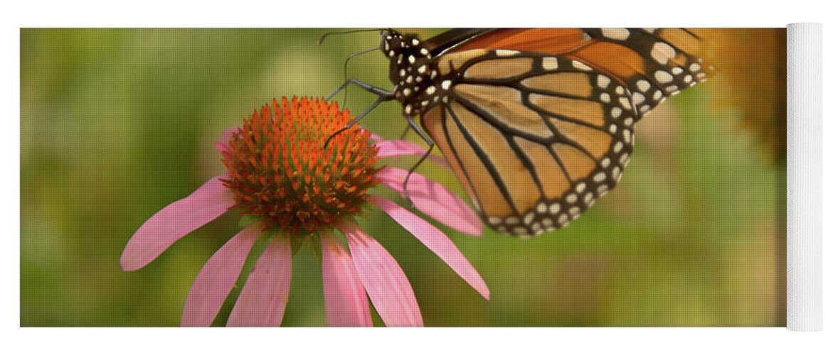 Butterfly Yoga Mat featuring the photograph Carolina Monarch by Amy Dundon