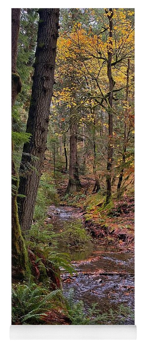 Autumn Yoga Mat featuring the photograph Cascade Creek Trail by Jerry Abbott