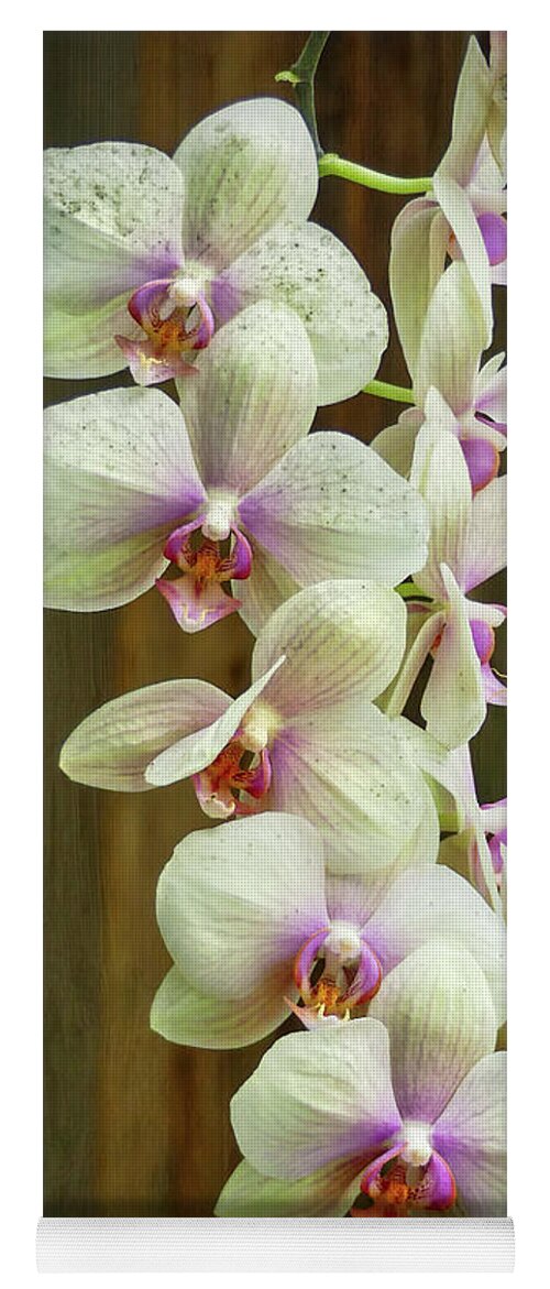 White Orchid Yoga Mat featuring the photograph Cascading Orchid by Amy Dundon