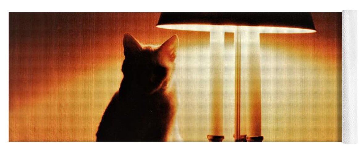 Cat Lamp Desk Light Shadow Yoga Mat featuring the photograph Cat Lamp by John Linnemeyer