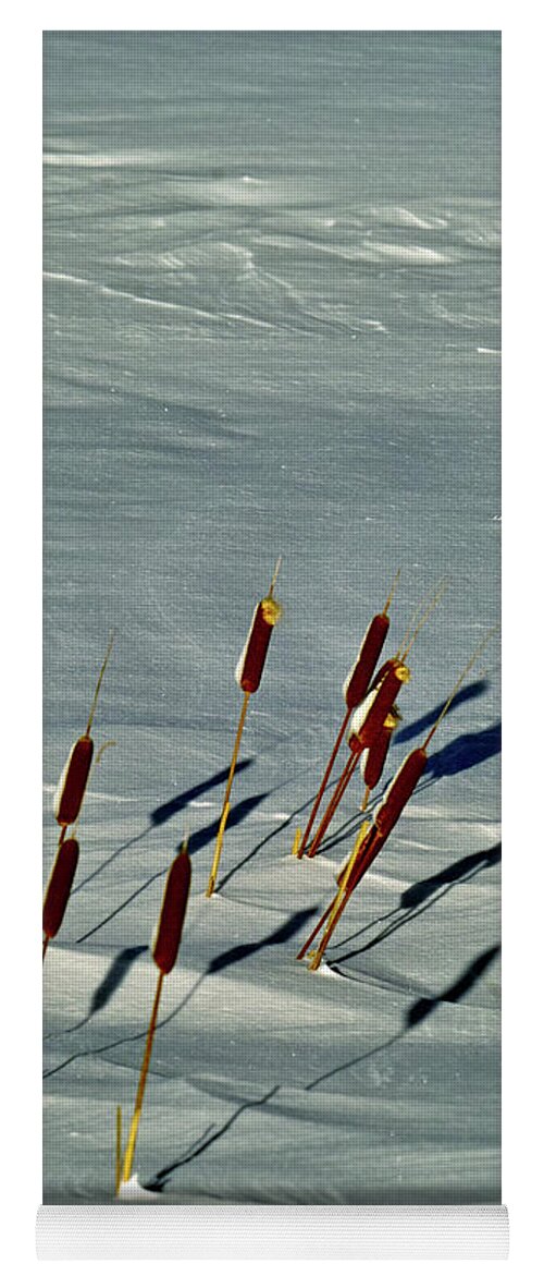 Snow Yoga Mat featuring the photograph Cattails in the Snow I by Theresa Fairchild
