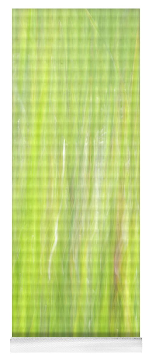 Nature Yoga Mat featuring the photograph Cattails in the Wind by Forest Floor Photography
