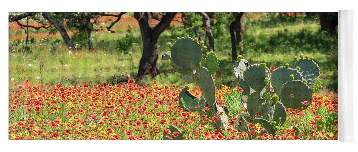 Texas Yoga Mat featuring the photograph Catus in hill country flowers by Nathan Wasylewski