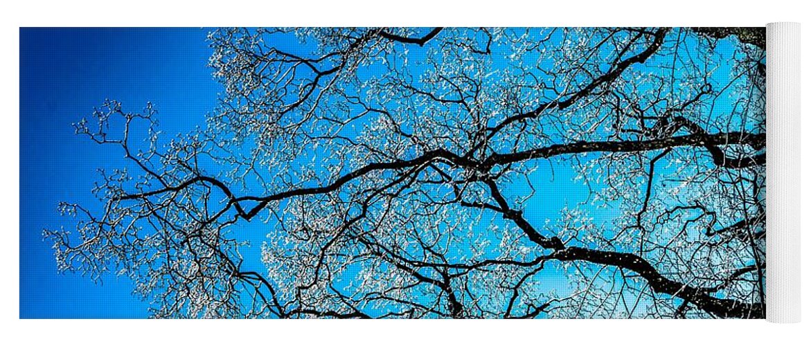 Abstract Yoga Mat featuring the photograph Chaotic System Of Ice Covered Tree Branches With Blue Sky by Andreas Berthold