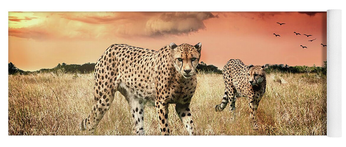 Cheetah Yoga Mat featuring the photograph Cheetah Hunt by Ed Taylor