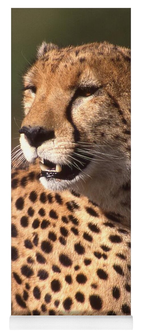 Cheetah Yoga Mat featuring the photograph Cheetah Profile by Russ Considine