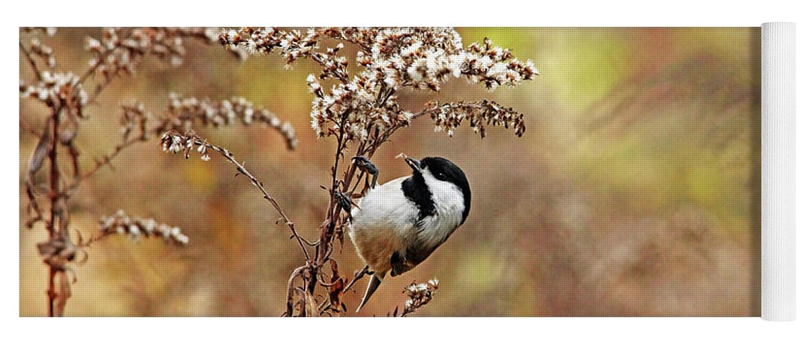 Chickadee Yoga Mat featuring the photograph Chickadee At Goldenrod Feeder by Debbie Oppermann