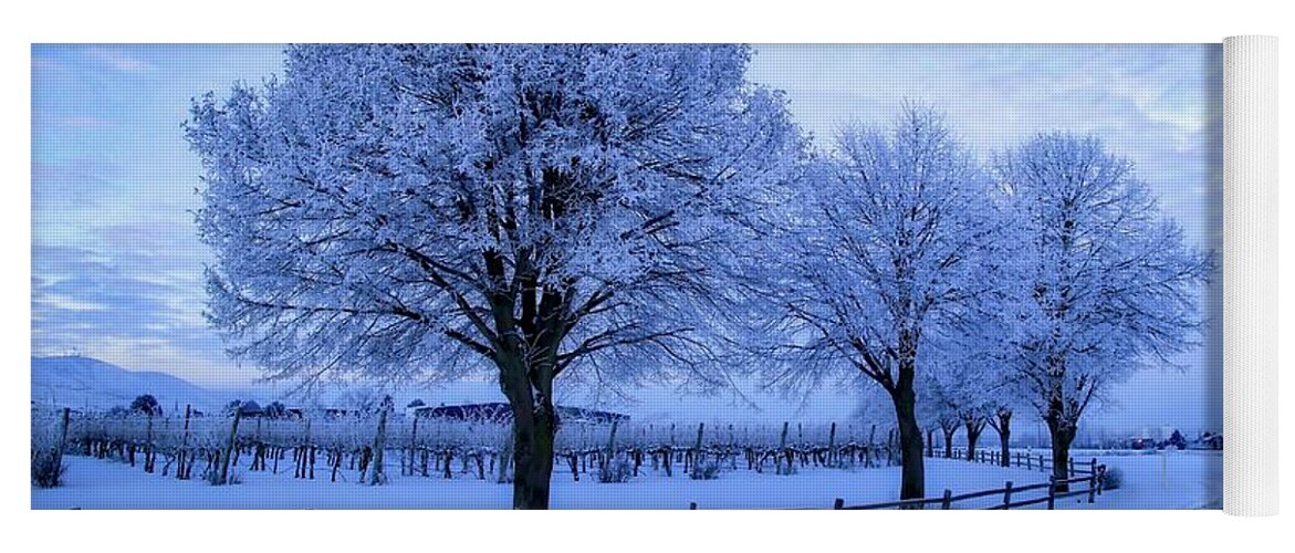 Chilly Winter Morning Yoga Mat featuring the photograph Chilly winter morning by Lynn Hopwood
