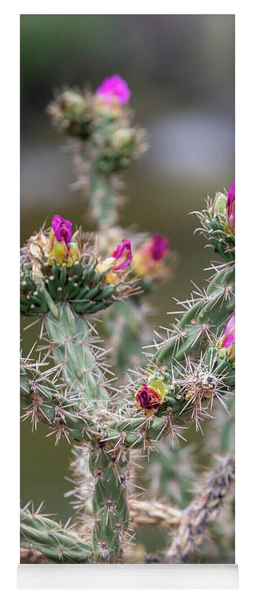 Cactus Yoga Mat featuring the photograph Cholla Cactus by Jim West