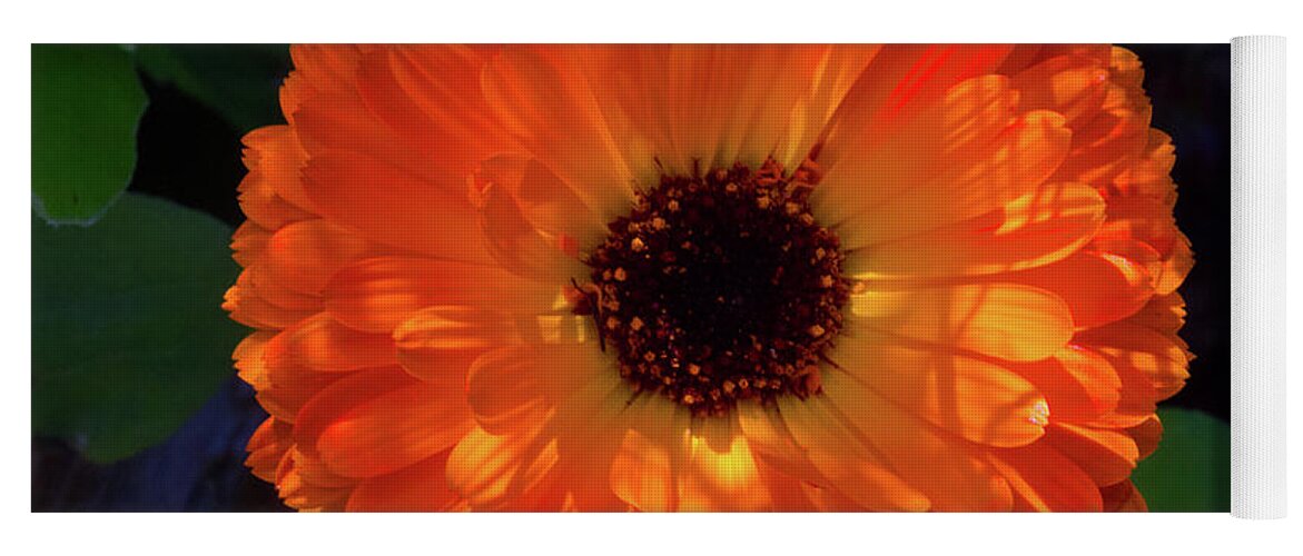 Beautiful Yoga Mat featuring the photograph Circular Orange Blossom by David Desautel
