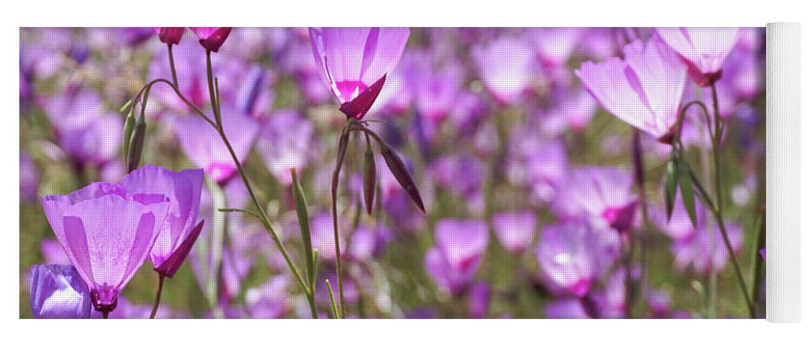 Clarkia Yoga Mat featuring the photograph Clarkia California Hot Springs by Brett Harvey