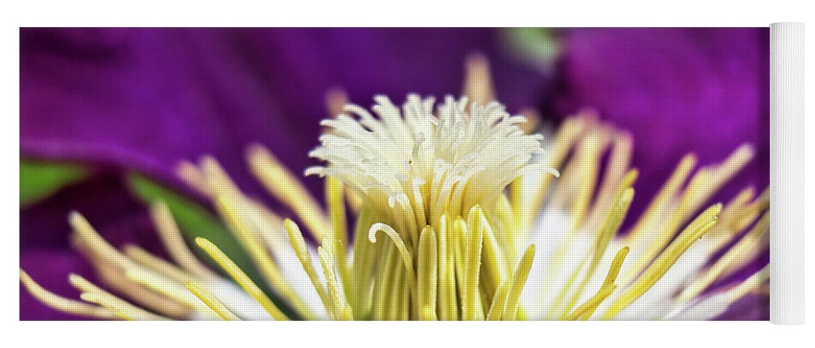 Flowers Yoga Mat featuring the photograph Clematis flower close up by MPhotographer
