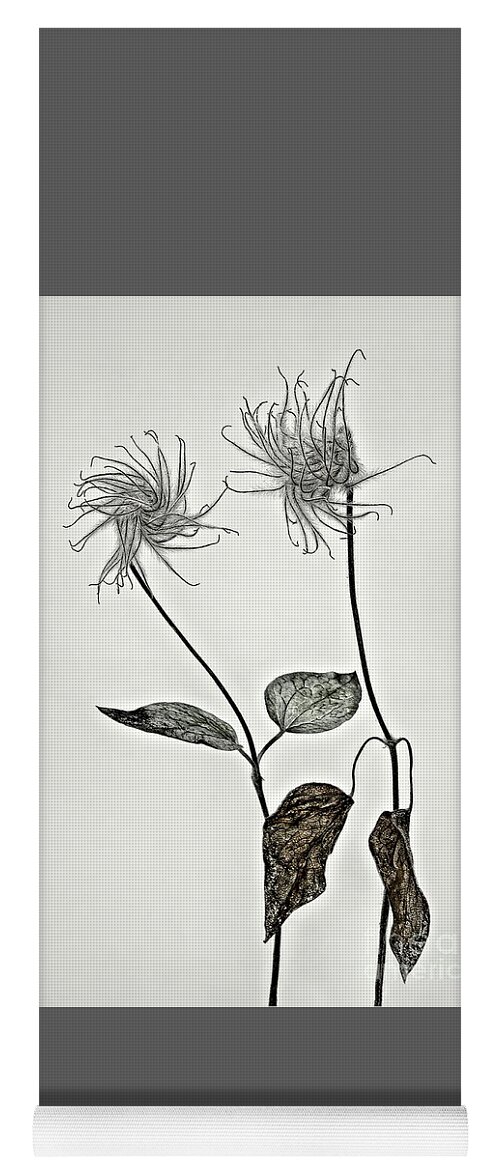 Seed Heads Clematis Passion Metaphoric Interpretative Singular Impression Evocative Romance Intriguing Fancy Minimalism Minimalist Peculiar Simplicity Togetherness Together Creative Associative Couple Duo Characters Spiritual Elegance Expressive Stylish Inspirational Romantic Charming Charm Aesthetic Poetic Funny Idyllic Thoughtful Meaningful Conceptual Sentimental Quirky Eccentric Provocative Weird Popular Artistic Personification Pastel Art Drawing Elegant Fantasy Delicate Flowers Thoughtful  Yoga Mat featuring the photograph Togetherness - two clematices evoking emotional respond intrique emotional bestseller by Tatiana Bogracheva
