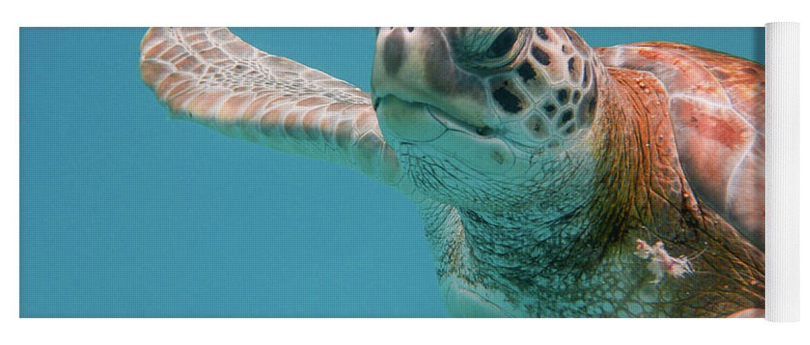 Turtle Yoga Mat featuring the photograph Close Encounter with a Green Turtle by Mark Hunter