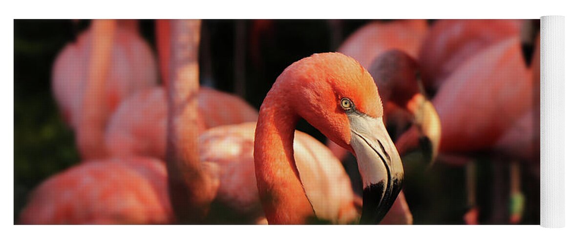 American Flamingo Yoga Mat featuring the photograph Head american flamingo, Phoenicopterus ruber, from bushes by Vaclav Sonnek