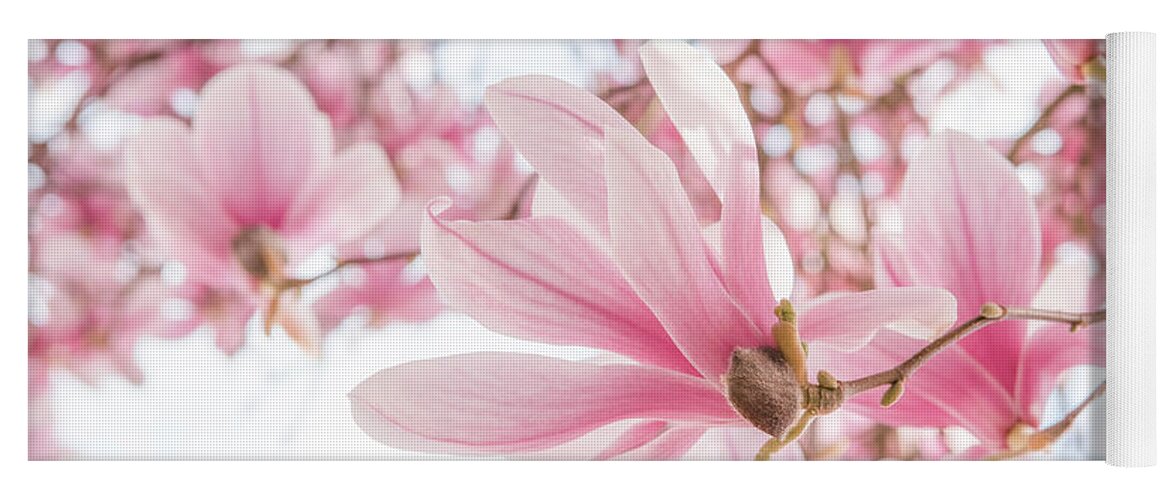 Magnolia Yoga Mat featuring the photograph Close-up on Spring by Philippe Sainte-Laudy