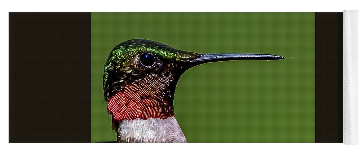 Animal Yoga Mat featuring the photograph Closeup Hummingbird by Brian Shoemaker