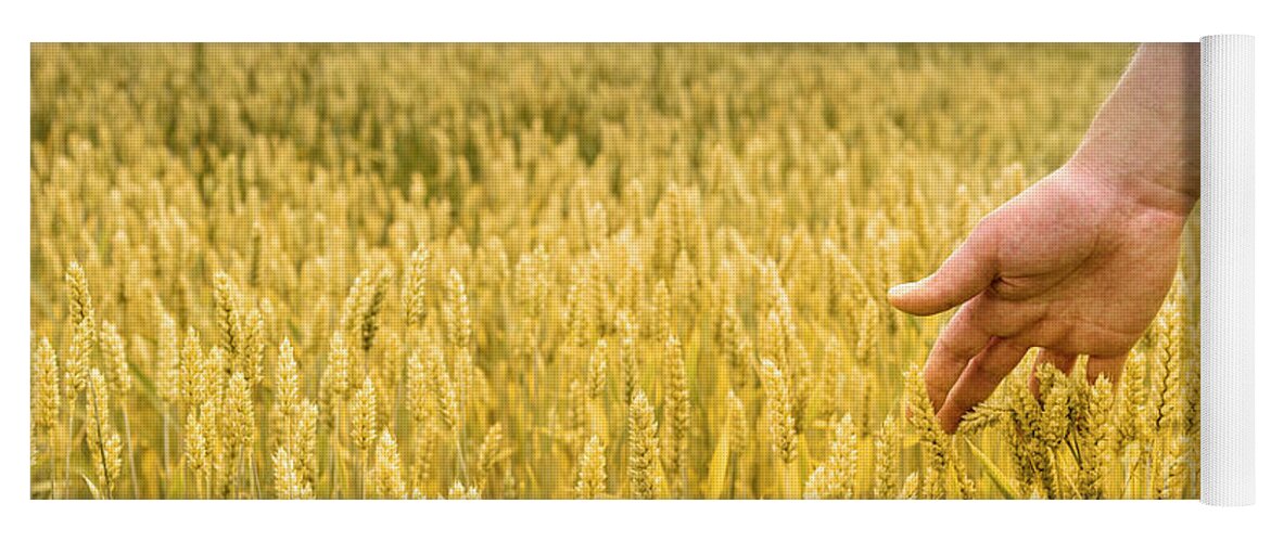 Wheat Yoga Mat featuring the photograph Closeup of farmer's hand over wheat by Jelena Jovanovic