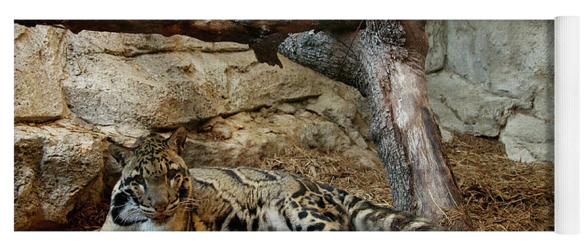 Clouded Leopard Yoga Mat featuring the photograph Clouded Leopard by Melissa Southern