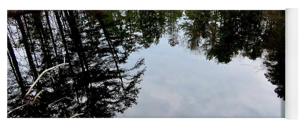 Trees Yoga Mat featuring the photograph Cloudy Reflection by Linda Stern