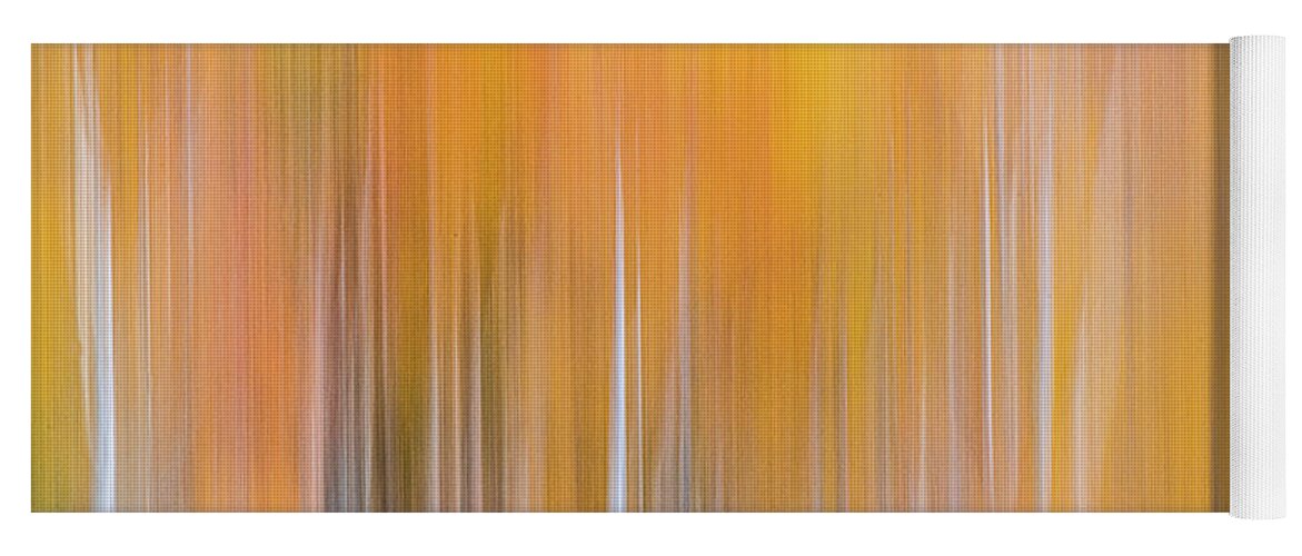 Abstract Yoga Mat featuring the photograph CO Abstract 811646 by David Downs