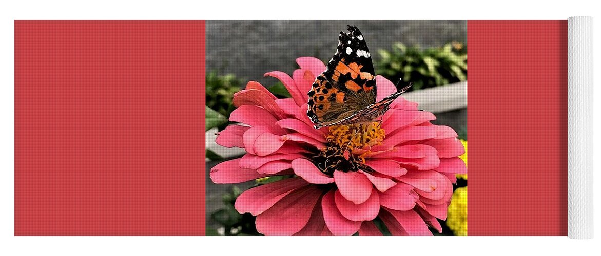 Butterfly. Zinnia. Flower Yoga Mat featuring the photograph Collecting Nectar by Bruce Bley