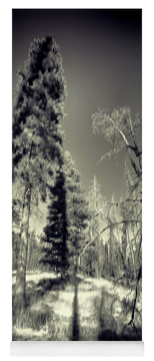 Colorado Trees Yoga Mat featuring the photograph Colorado Trees Pinhole BW by Cathy Anderson