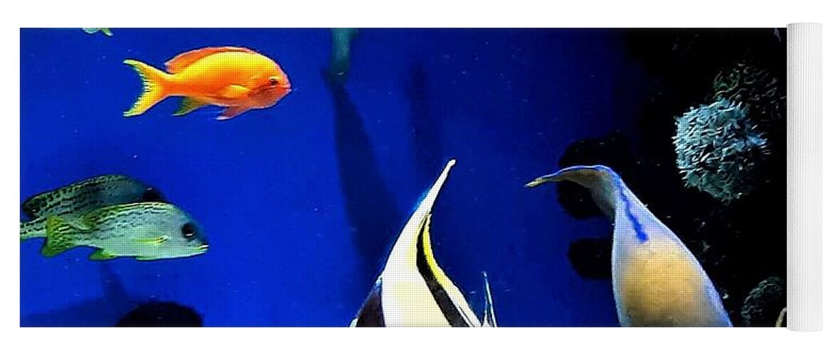 Aquarium Yoga Mat featuring the photograph Colorful Aquarium Residents by Linda Stern
