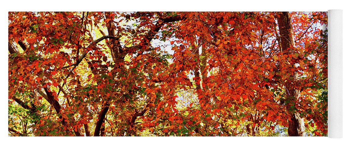 Autumns Yoga Mat featuring the photograph Colorful Autumn Leaves 3 High Resolution XL by Katy Hawk