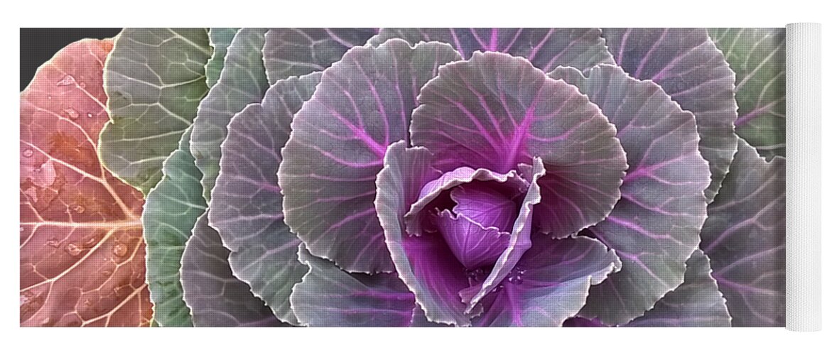 Duane Mccullough Yoga Mat featuring the photograph Colorful Cabbage Clear by Duane McCullough
