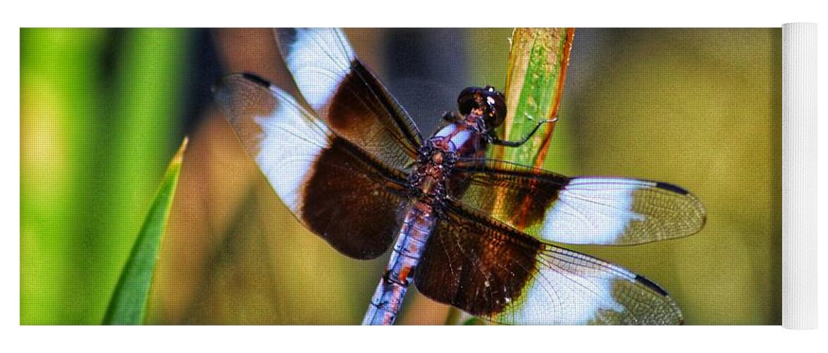 Insect Yoga Mat featuring the photograph Colorful Dragonfly by LaDonna McCray