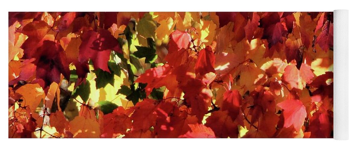Fall Leaves Yoga Mat featuring the photograph Colors of Fall, Square by Sandra Huston