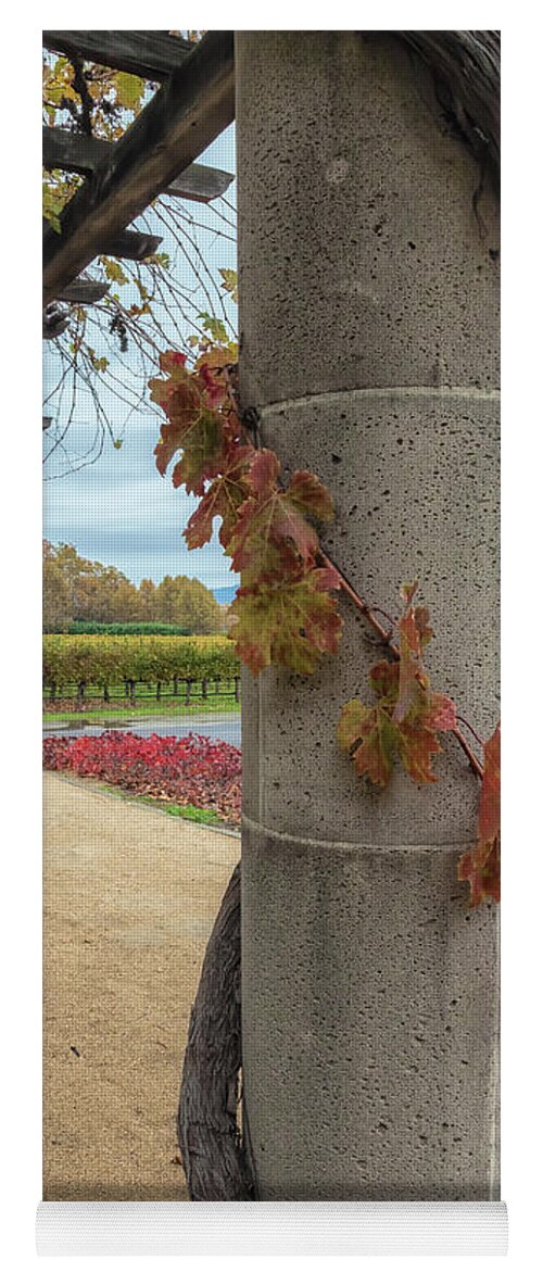 Autumn Yoga Mat featuring the photograph Columns With Grapevine by Jonathan Nguyen