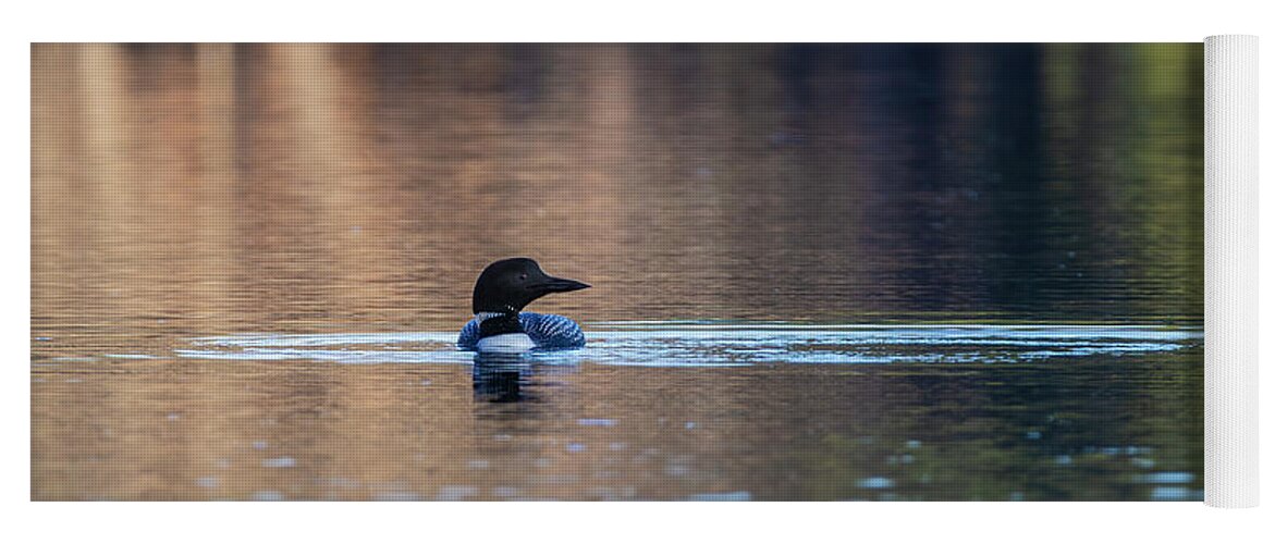 Common Loon Yoga Mat featuring the photograph Common Loon 2019-3 by Thomas Young